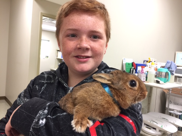 Client with his rabbit